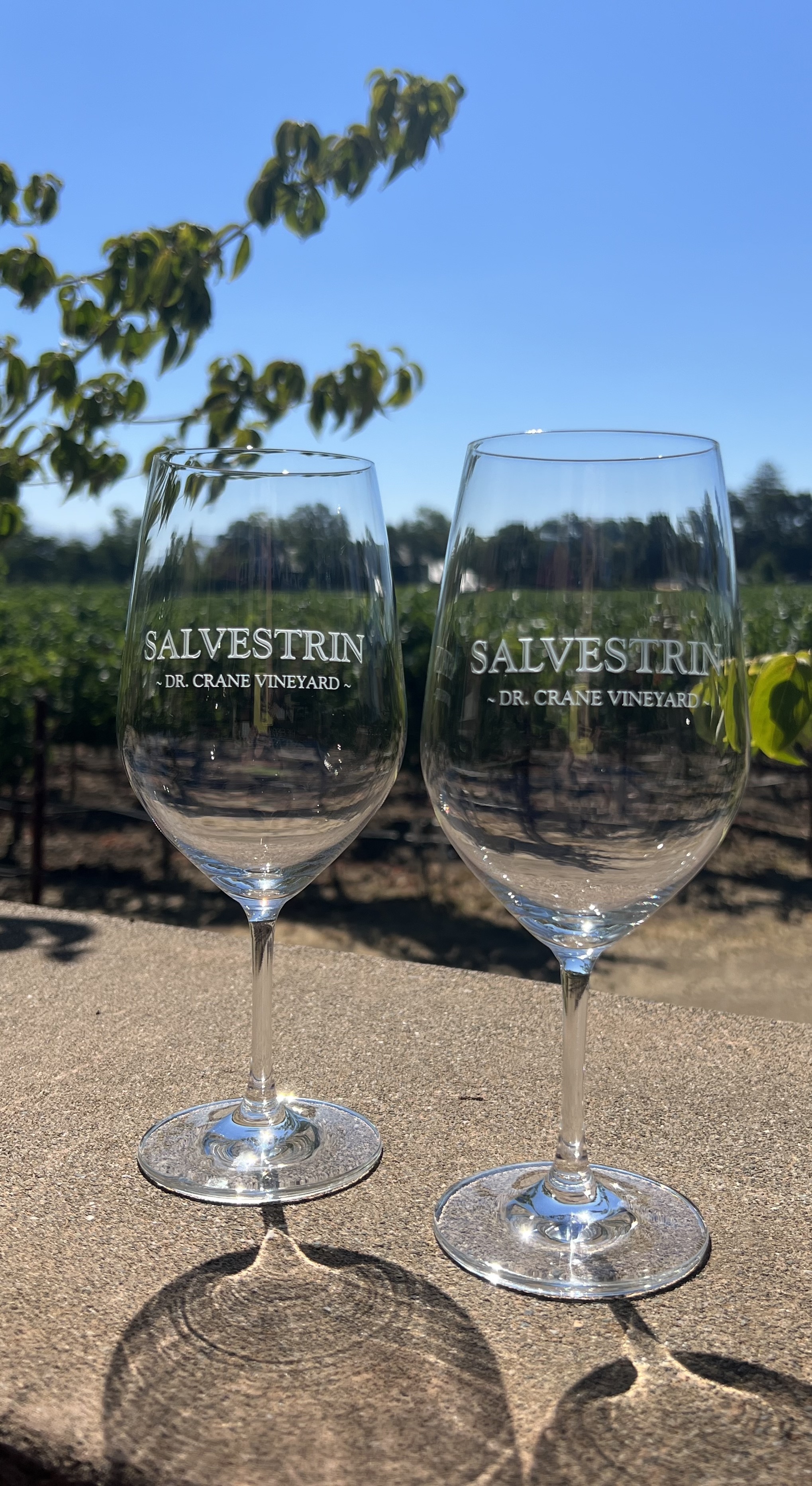 Product Image for Salvestrin Logo Wine Glass Set